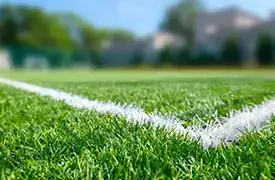 Synthetic Turf
